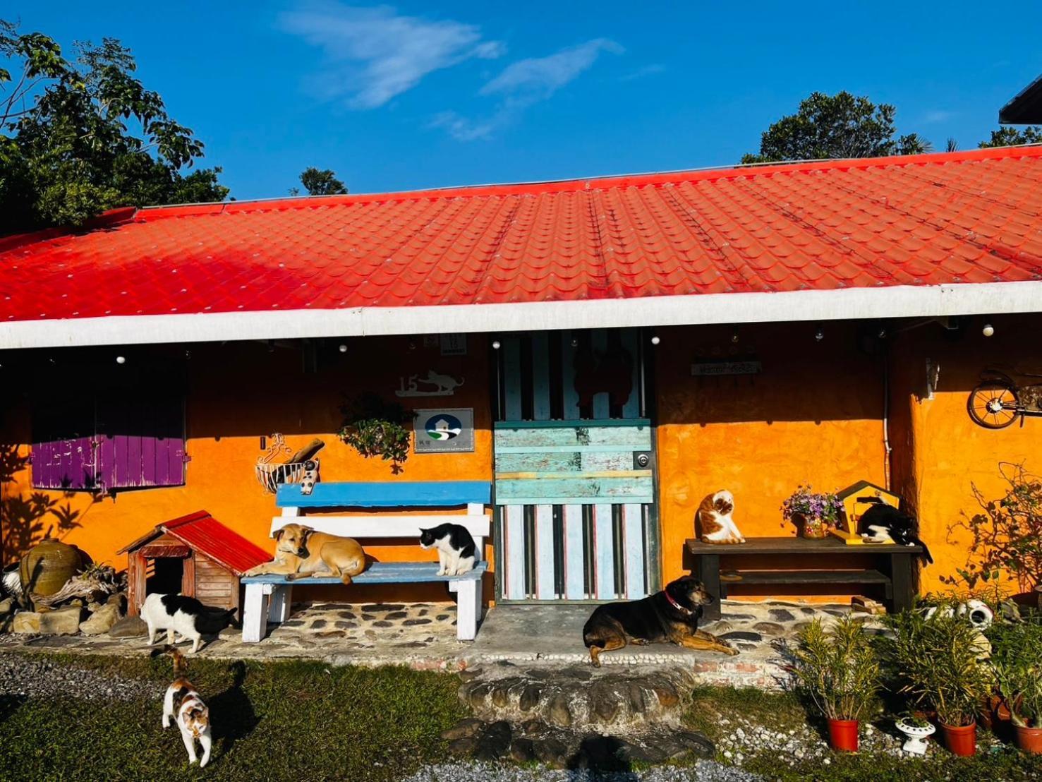 Cat Sky Country Homestay Sanxing Dış mekan fotoğraf